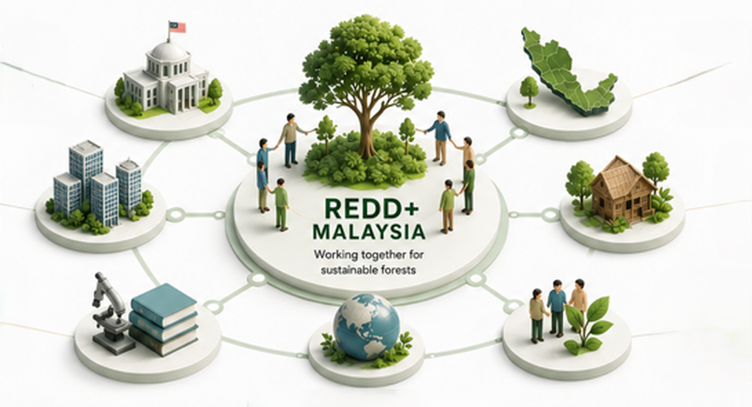 REDD+ Malaysia stakeholder ecosystem — working together for sustainable forests